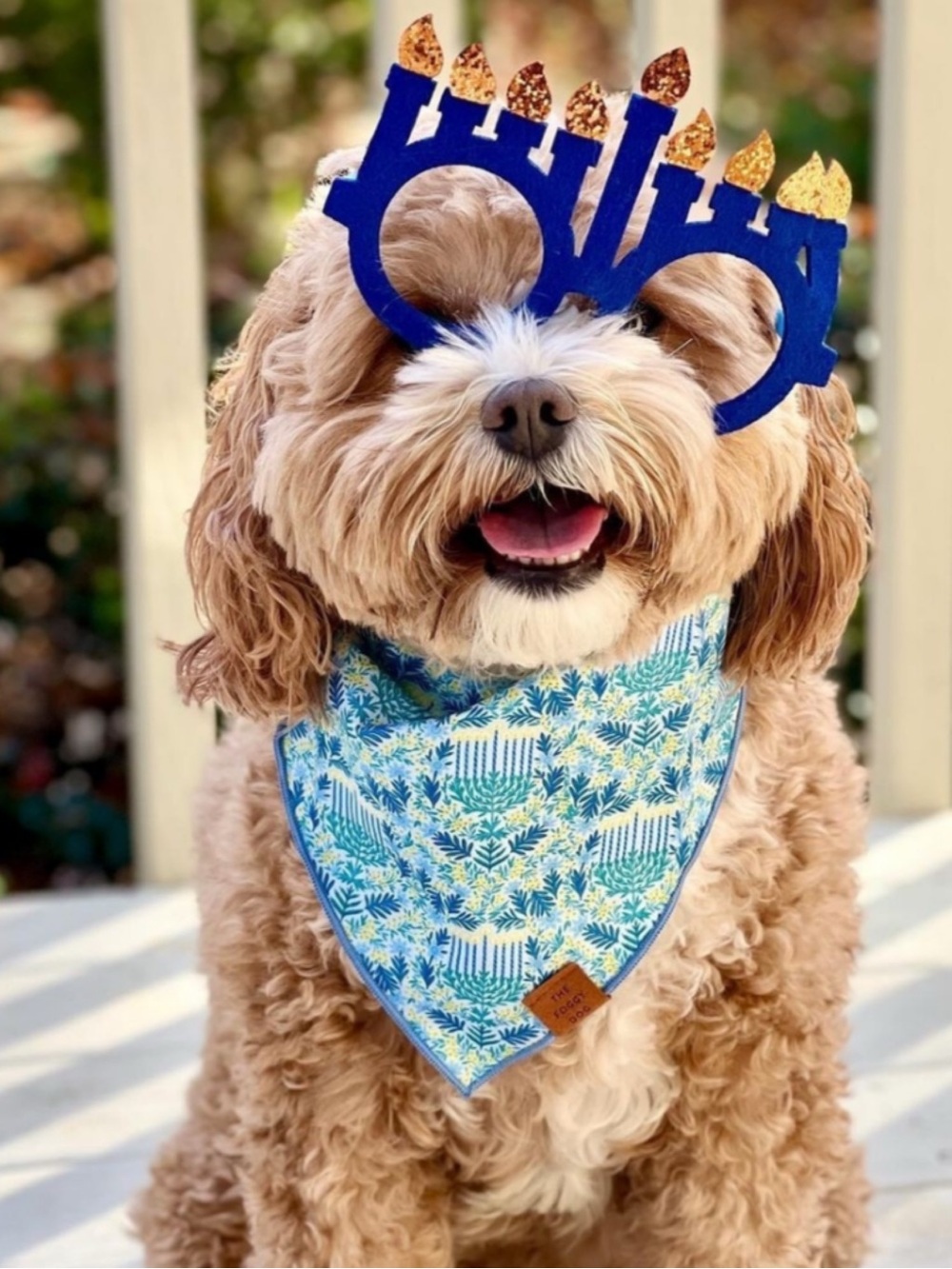 Dog Bandana by Foggy Dog - Flora Menorah Hanukkah